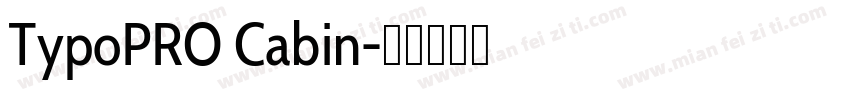 TypoPRO Cabin字体转换